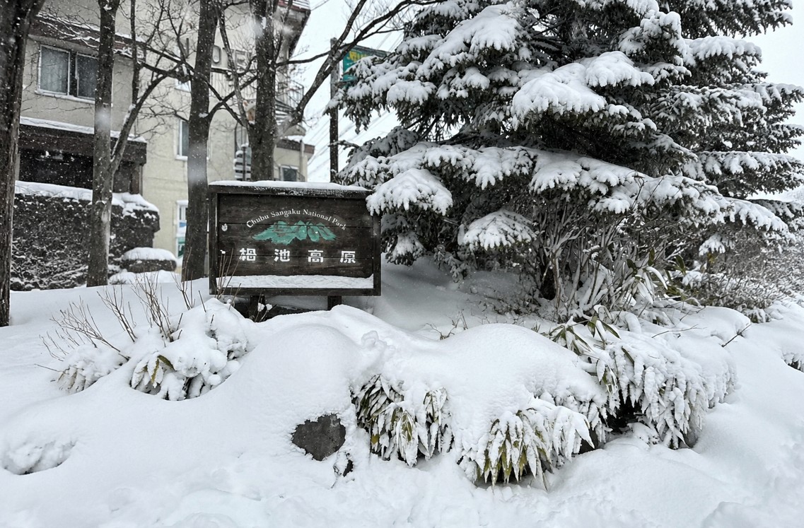 白馬栂池高原滑雪場